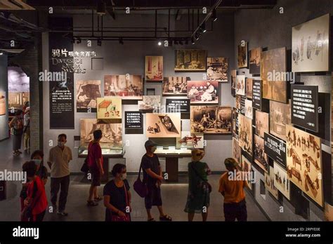 Humen Municipal Museum – En historisk resa genom Dongguans utveckling!