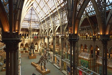  Oxford University Museum of Natural History: En fascinerande resa genom livets historia och en arkitektonisk juvel!